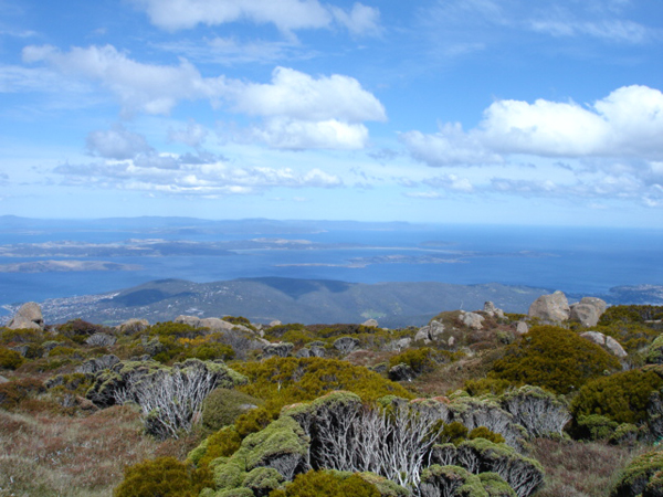 Mount Wellington