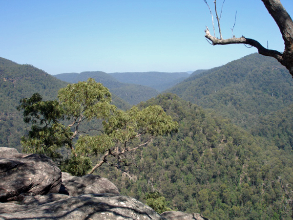 Blue Mountains National Park