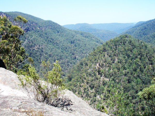 Blue Mountains Australia
