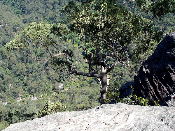 Blue Mountains Australia