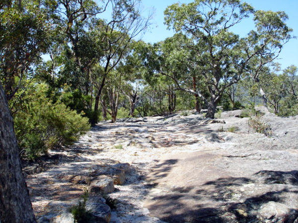 scenery in Australia