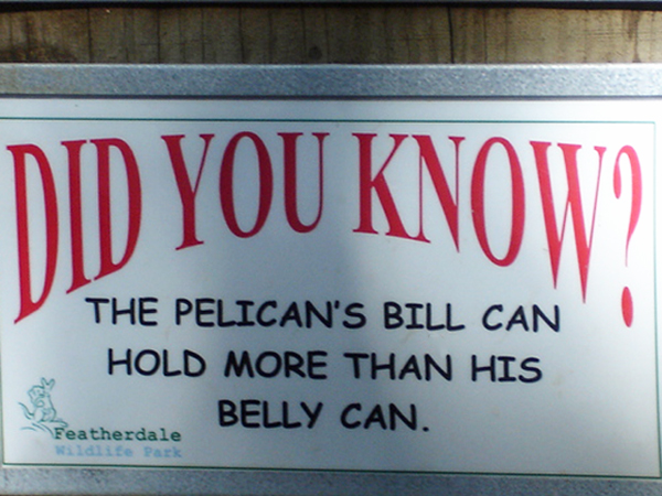 Pelican sign