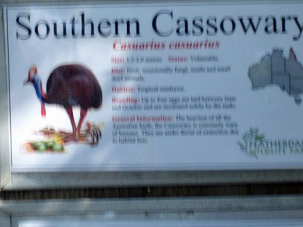 cassowary sign