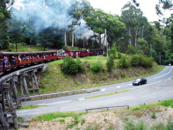 Puffing Billy Train