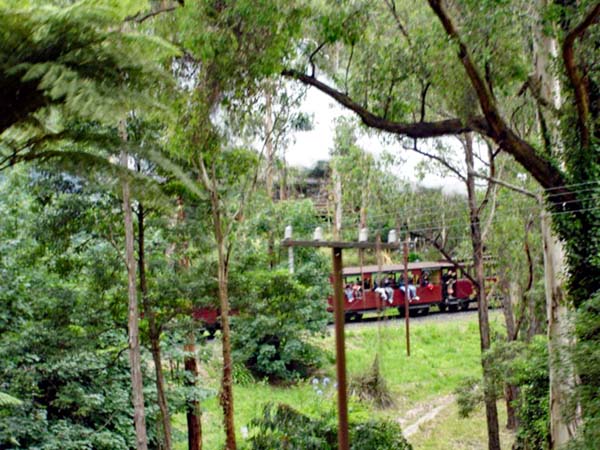 view from Puffing Billy train