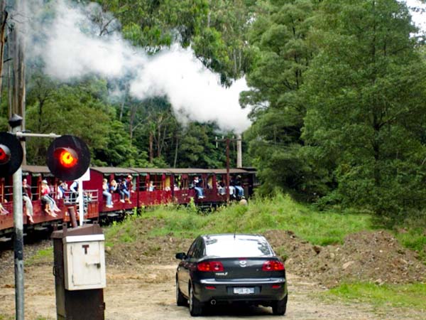 car waiting for Puffing Billy train to pas