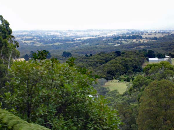 view from Puffing Billy train