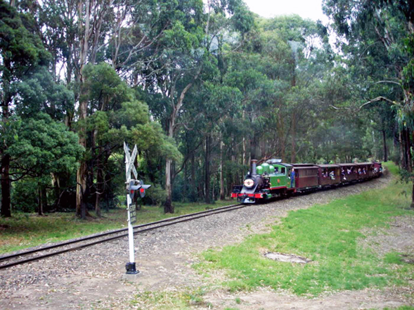 Puffing Billy Train