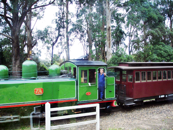 conductor of Puffing Billy Train