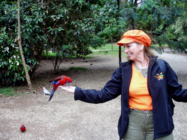 Karen Duquette holing a bird