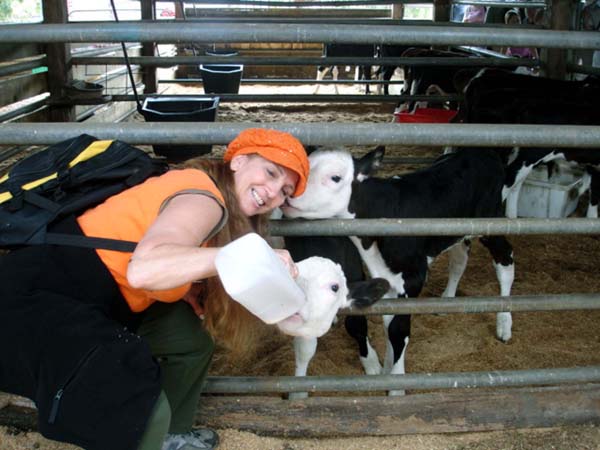 Karen Duquette offering a calf some milk at a farm in Australia