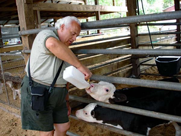 Lee Duquette offering a calf some milk