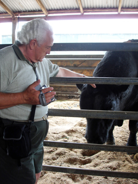 Lee duquette petting a cow
