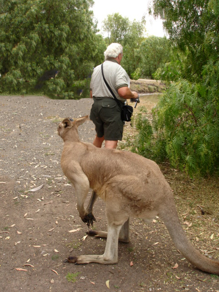 Lee Duquette and a kangaroo