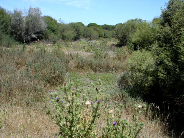 wild animal tour in Auistralia