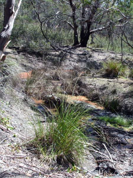 wild life tour in Australia