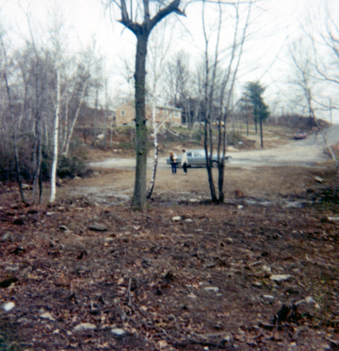 Looking from the front of the house towards Franke Lane.
