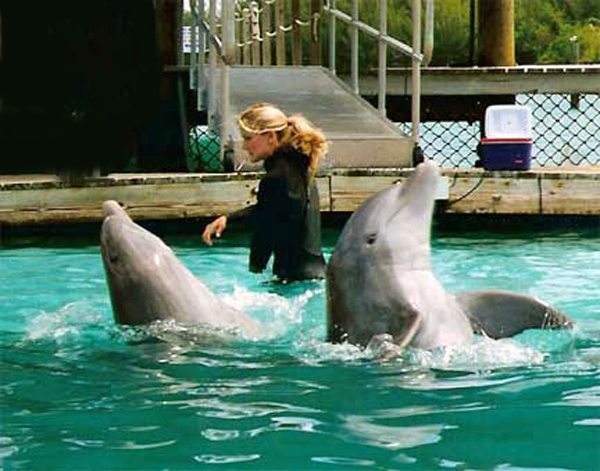 The trainer with two dolphins