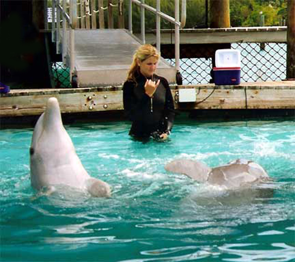 The trainer with two dolphin