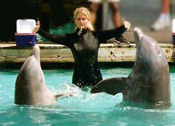 dolphins and trainer