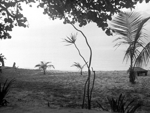 Paradise Island in 1985
