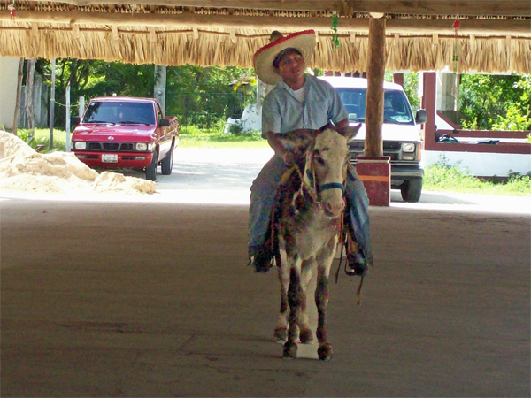 Mexican person on a  small horse
