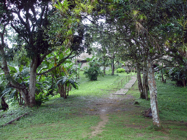 The path to the village and show area
