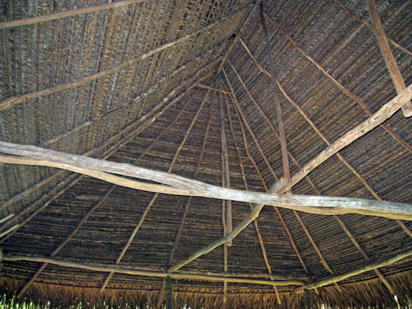 looking up at the inside of the roof