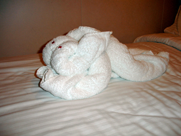 towel rabbit