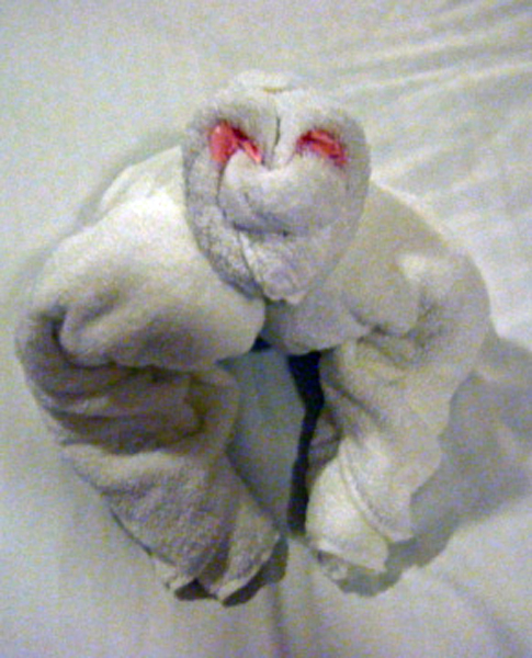 towel critter
