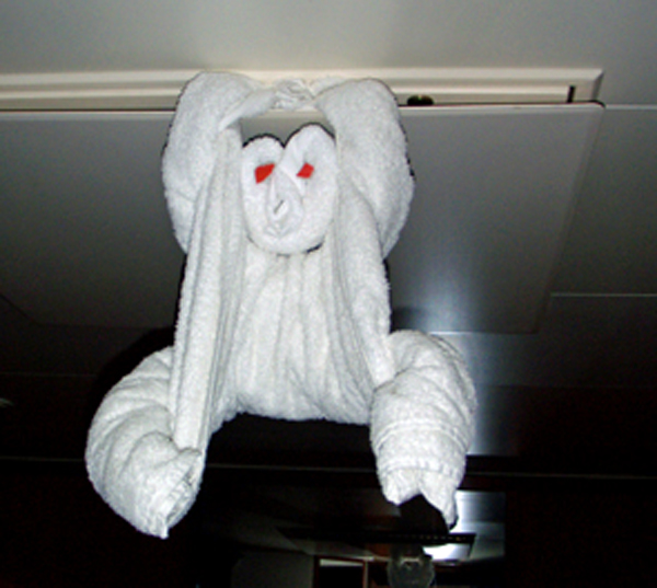 towel monkey