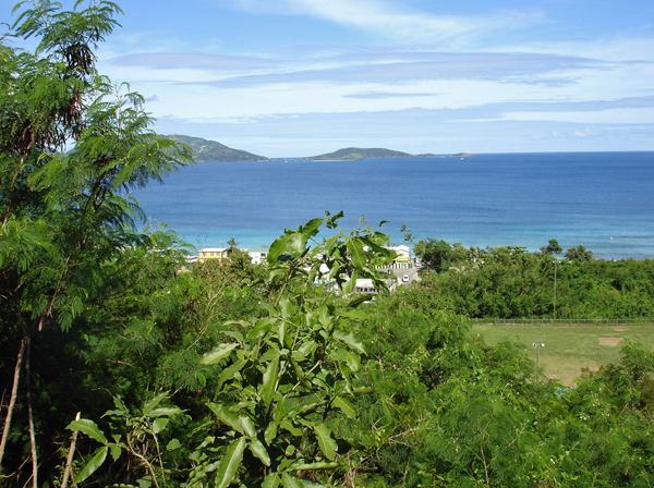 beautiful Tortola scenery