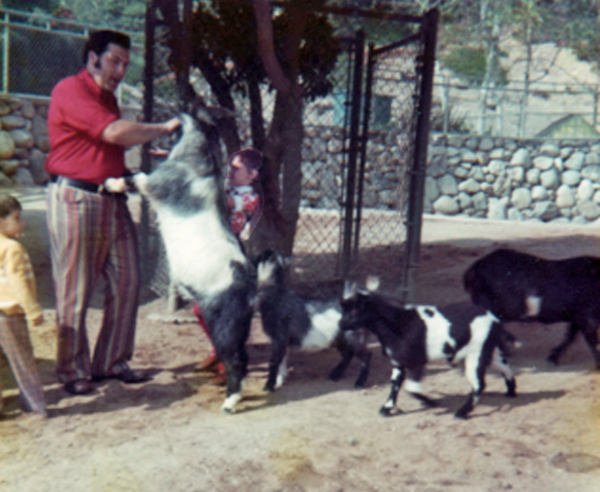 Lee, Brian and Renee with goats