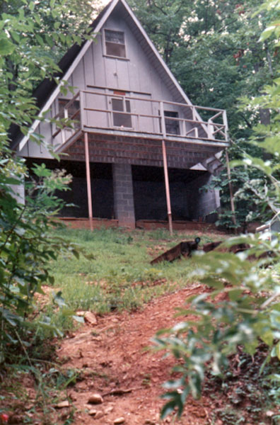 cabin in Morganton, Georgia