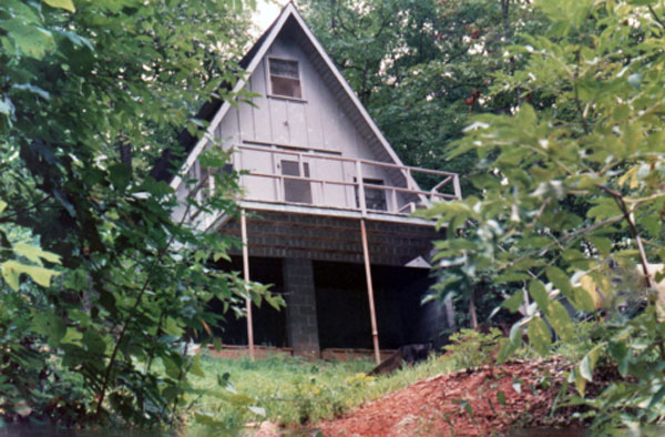cabin in Morganton, Georgia