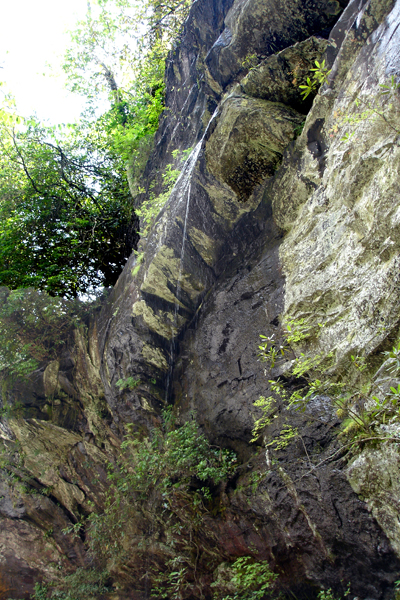 the side of the waterfall