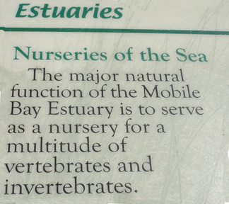 Estuaries sign