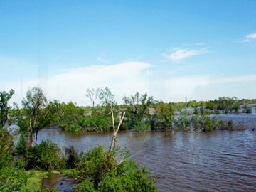 Henderson Swamp