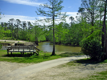 view of Turtle Bayou