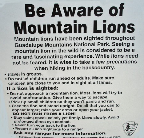 Be Aware of Mountain Lions sign