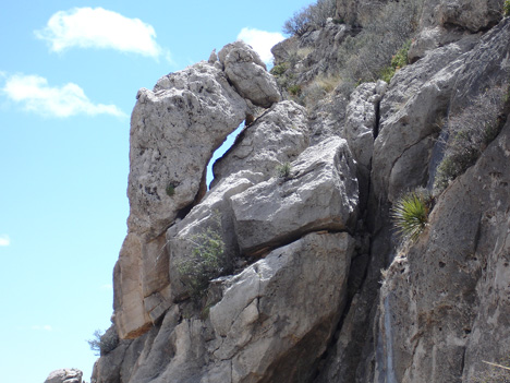 A close-up of a vicarious rock