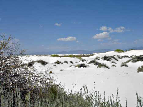 white sand dunes
