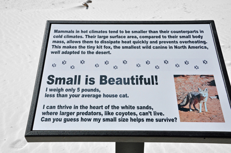sign about small critters