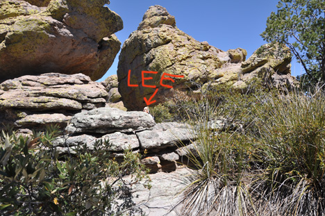 Lee's head  can barely be seen above the rock