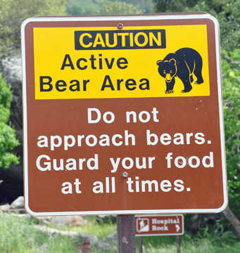 Caution of bears at Sequoia NationaL Park