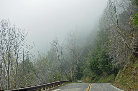 a curvy, foggy road