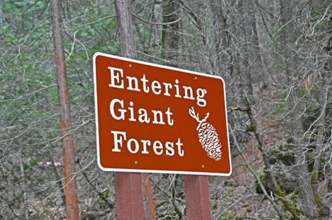 sign - Entering Giant Forest