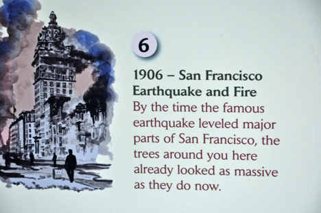 sign about San Francisco Earthquake