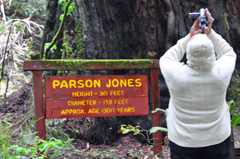 Lee and the sign for the Parson Jones tree