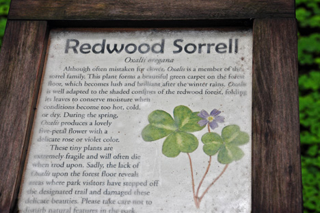 Redwood Sorrell Sign